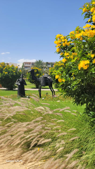 Gartenanlage Fort Arabesque Resort, Spa & Villas