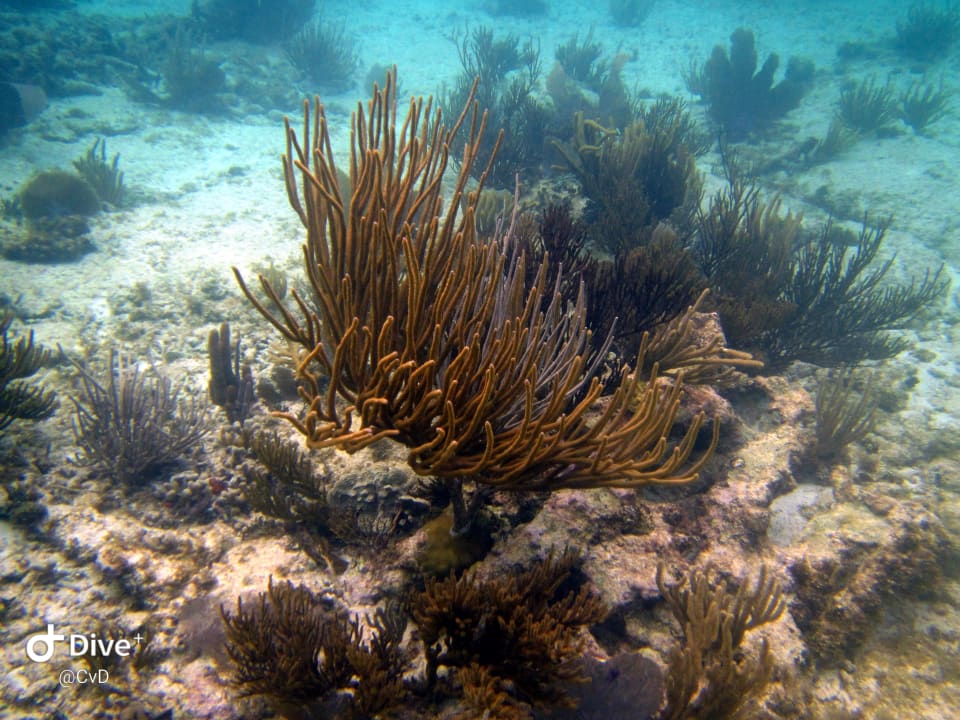 Sport & Freizeit Akumal Bay Beach & Wellness Resort