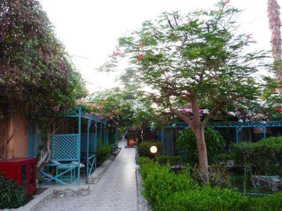 Hotel Giftun Azur Resort