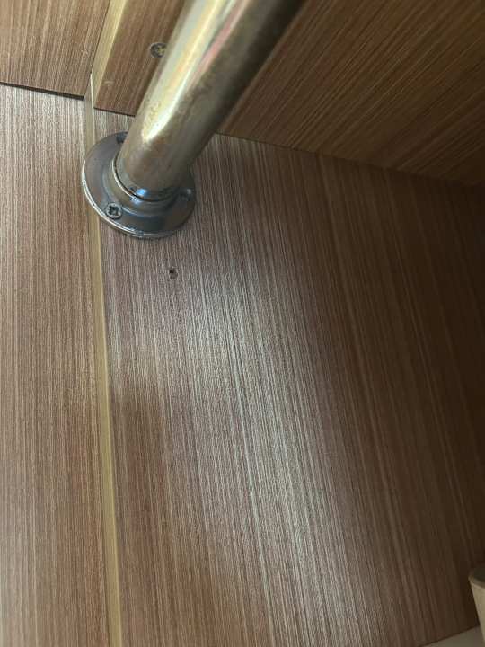 Zimmer AQI Pegasos World