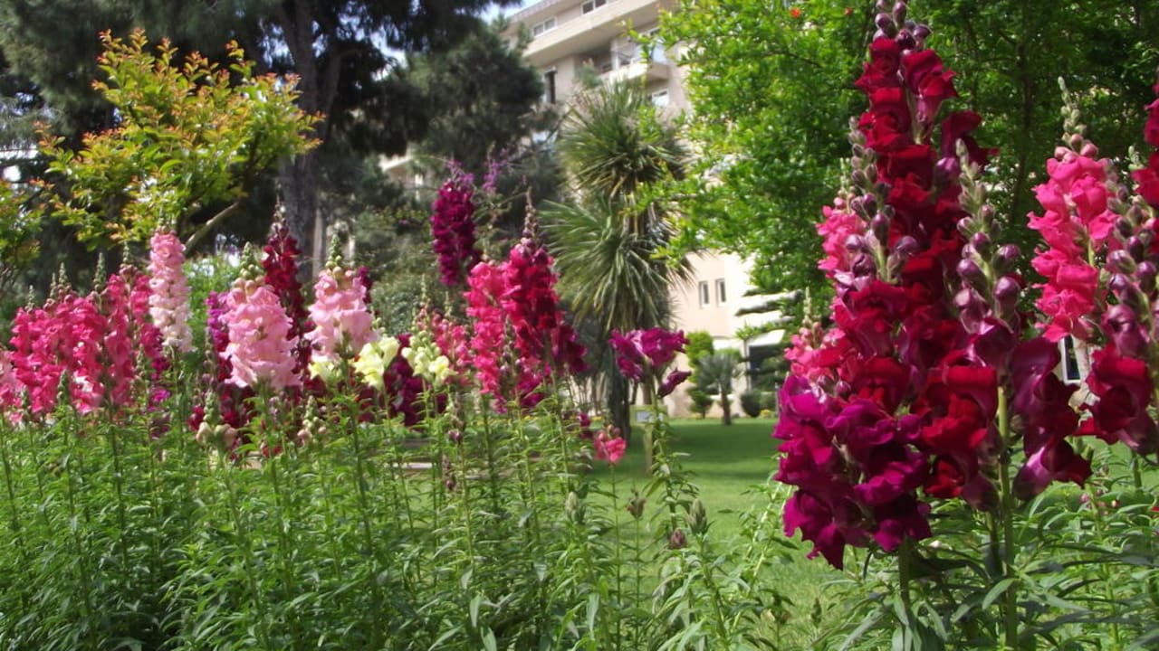 Gartenanlage Papillon Ayscha