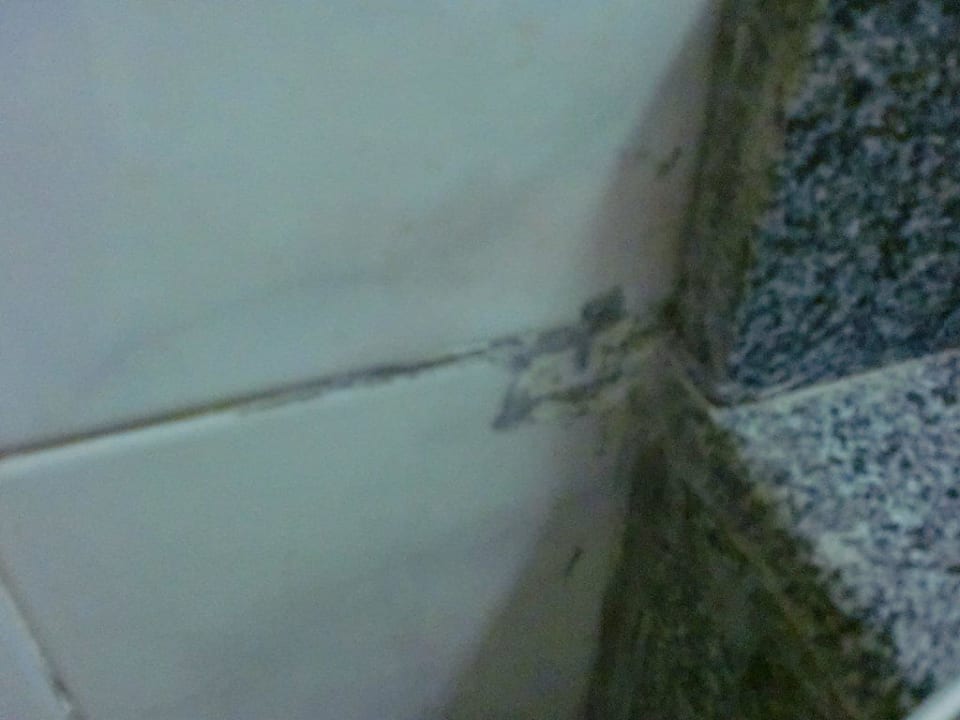 Bad Utopia Beach Club