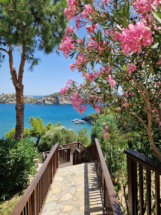 Ausblick TUI BLUE Seno - Adults Only