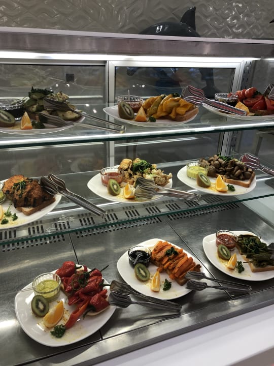 Gastro Adalya Elite Lara