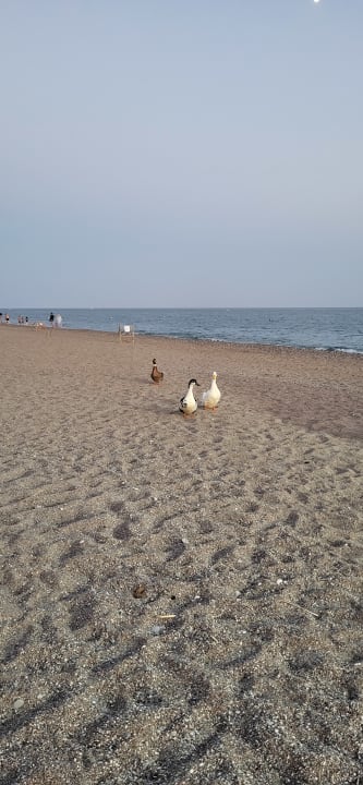 Zimmer Sunrise Resort Hotel