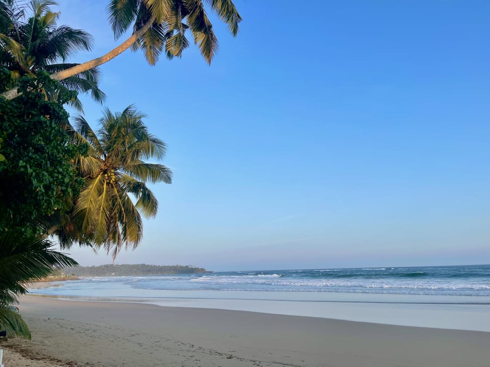 Strand Smeralda Beach Hotel Dikwella