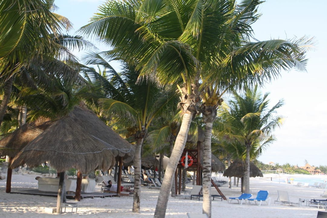 Hotel-Strand  Catalonia Royal Tulum Beach & Spa Resort - Adults only