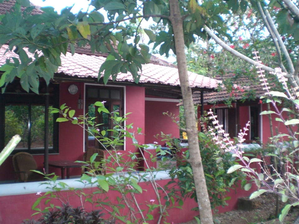 Dreamcatcherhouse ELDC Dreamcatcher House