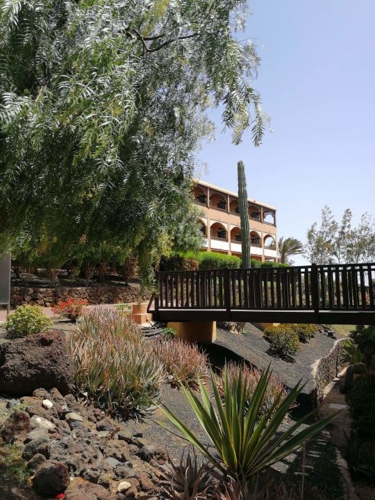Gartenanlage Occidental Jandía Playa
