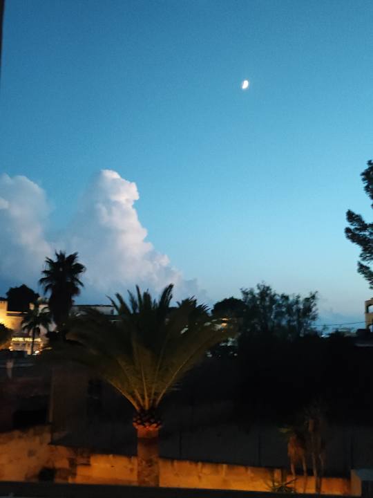 Ausblick Valentin Reina Paguera