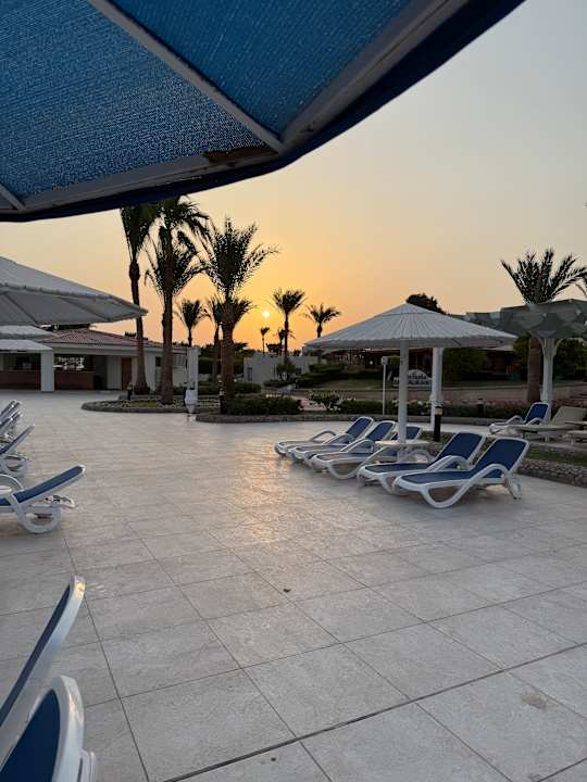 Pool Pharaoh Azur Resort