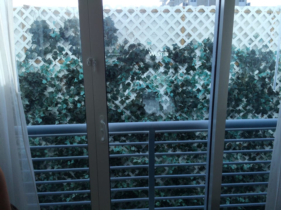 Das nennt man Areaview! The Westin Fort Lauderdale Beach Resort
