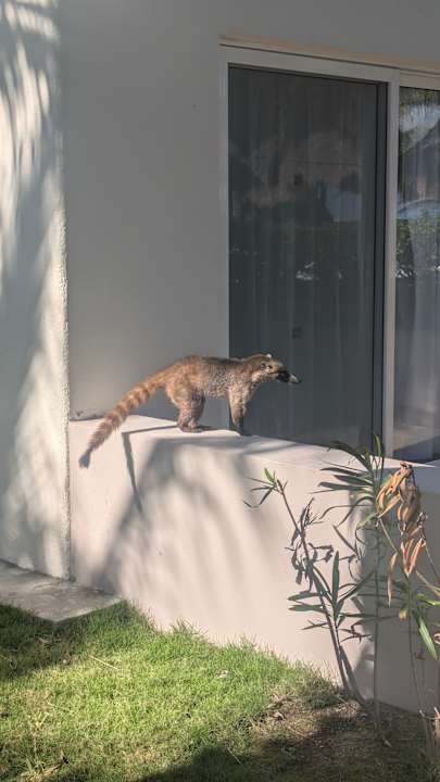 Sonstiges Viva Azteca by Wyndham - All Inclusive Resort