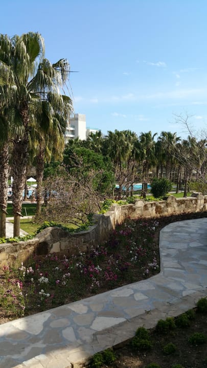 Unser Zimmerausblick Arum Barut Collection