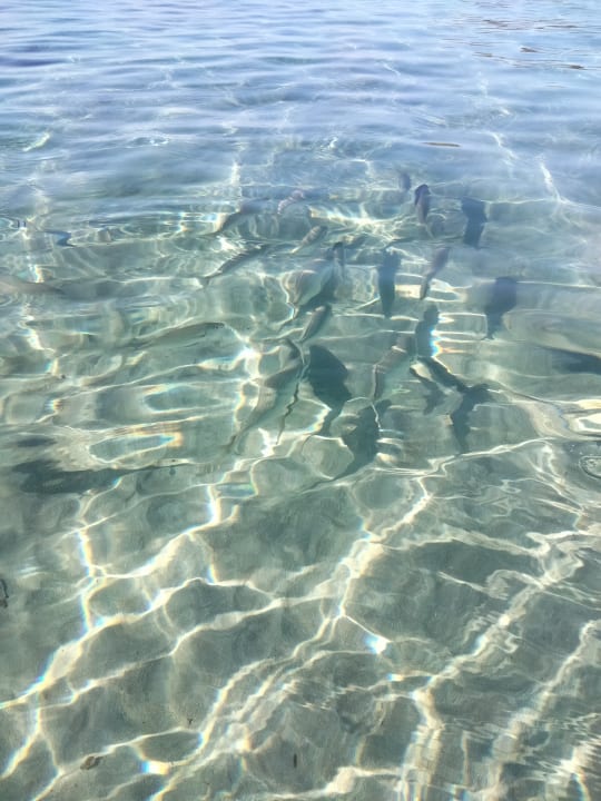 Strand Hotel Vibra Beverly Playa