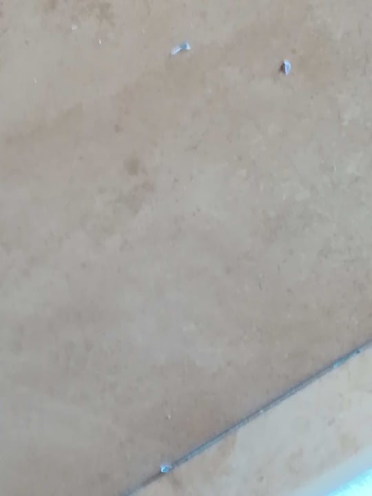 Zimmer Elba Carlota Beach & Golf Resort