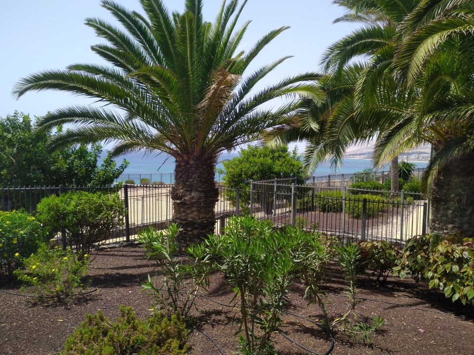 Gartenanlage R2 Rio Calma Hotel & Spa & Conference