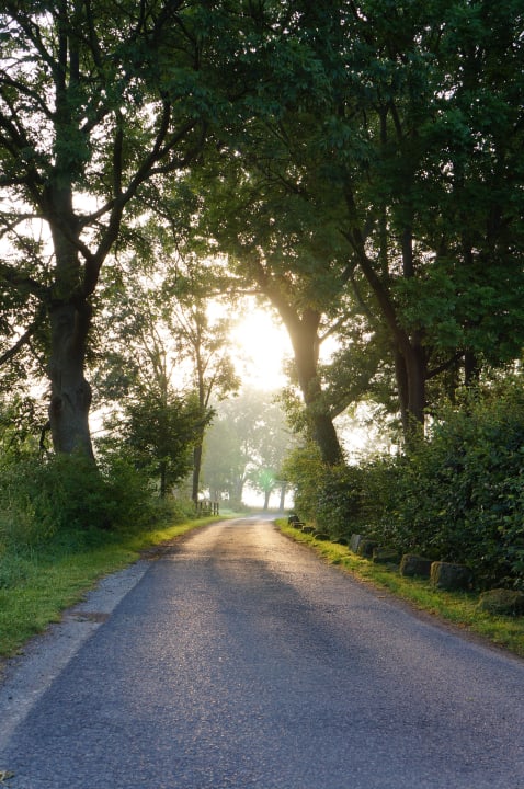 Auffahrt Biohotel Stiftsgut Wilhelmsglücksbrunn