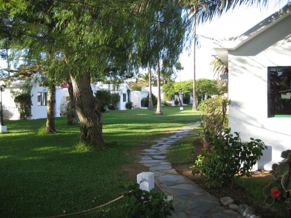 Ist einfach nur schön Canary Garden Club