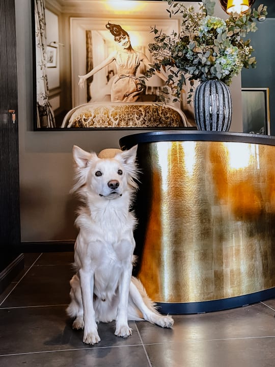 Lobby Hotel Atlantic Sylt