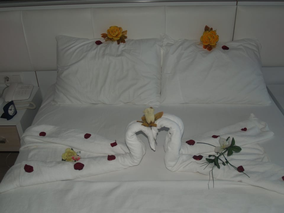 Überraschung vom Zimmermädchen Sultan of Dreams Hotel & Spa