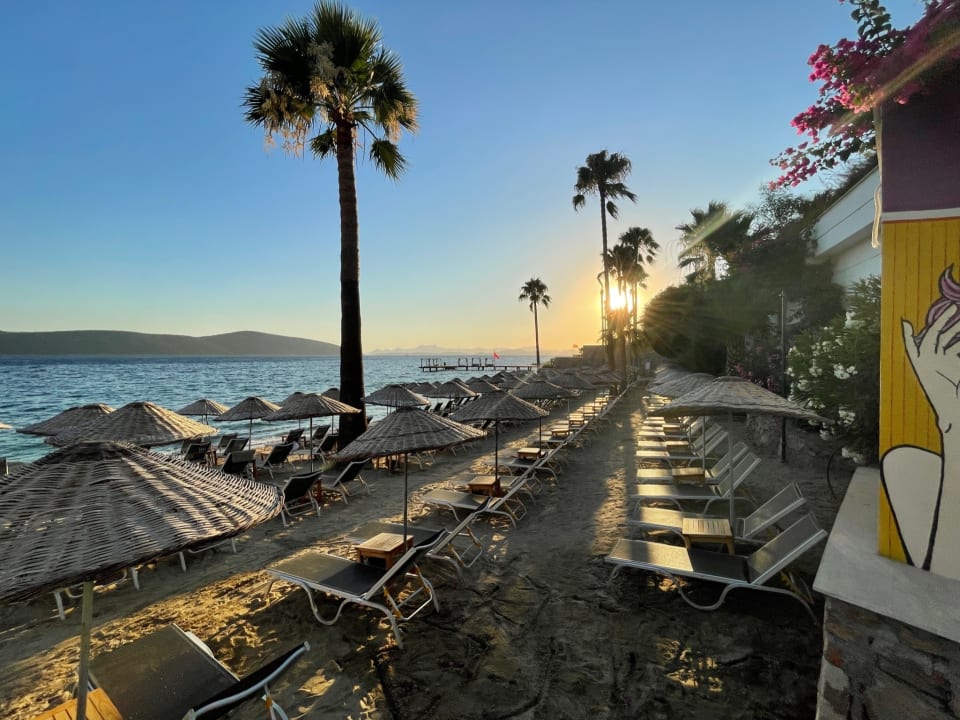 Strand TUI MAGIC LIFE Bodrum - Adult Only (16+)