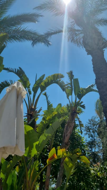 Gartenanlage Sunis Kumköy Beach Resort Hotel & Spa