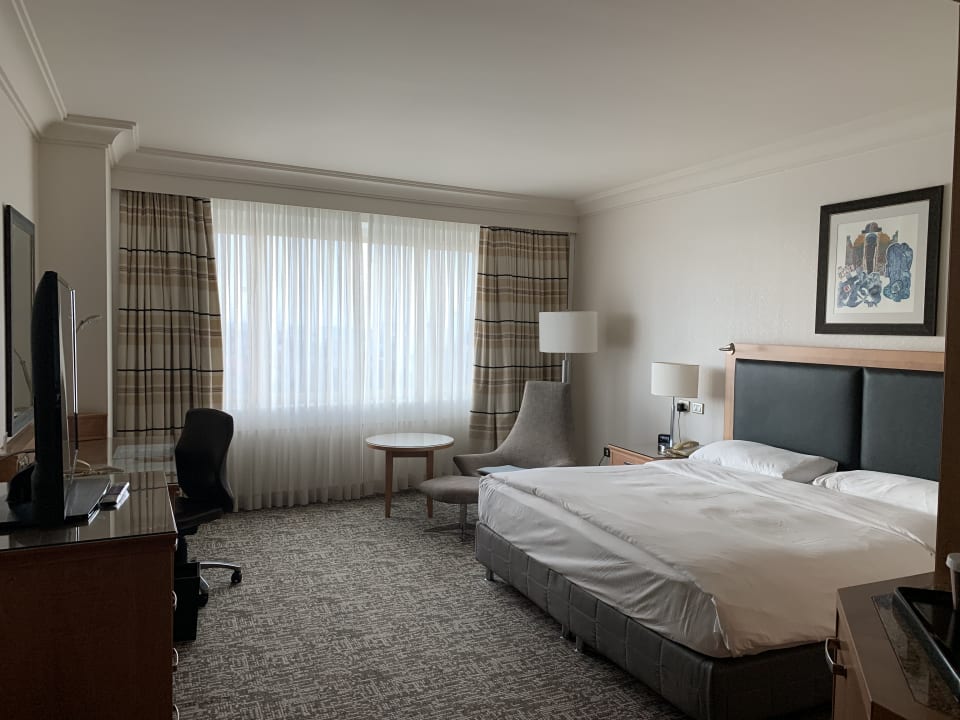 Zimmer Adana HiltonSA