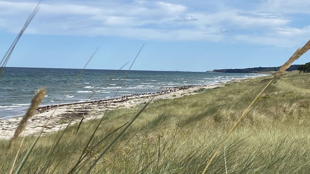 Strand Ferienwohnungen Ferienpark Weissenhäuser Strand
