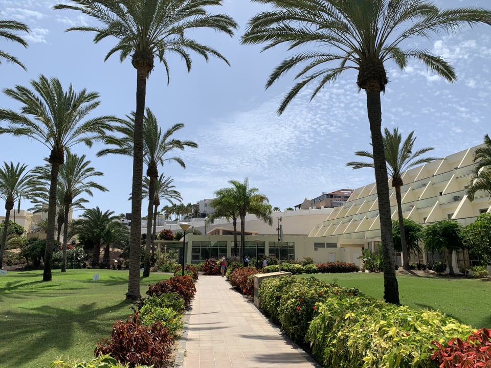 Gartenanlage SBH Hotel Costa Calma Palace