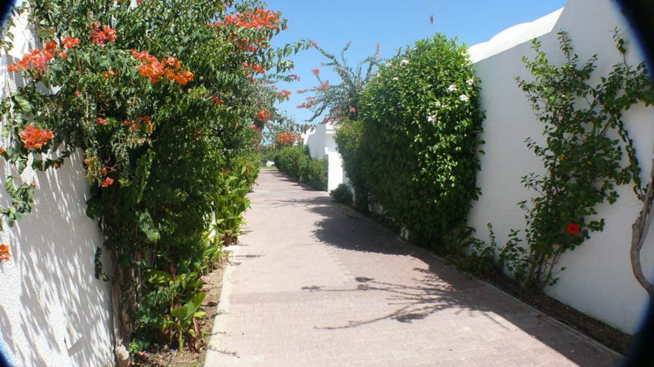 Zwischen den Bungalows El Mouradi Club Kantaoui