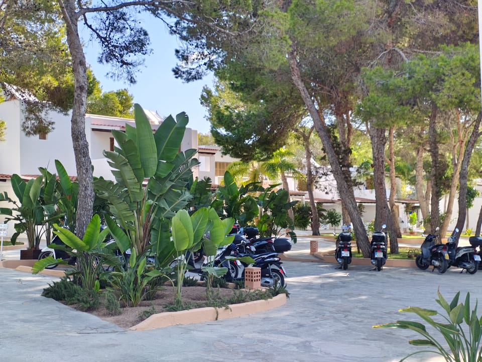 Außenansicht Bungalows Es Pins