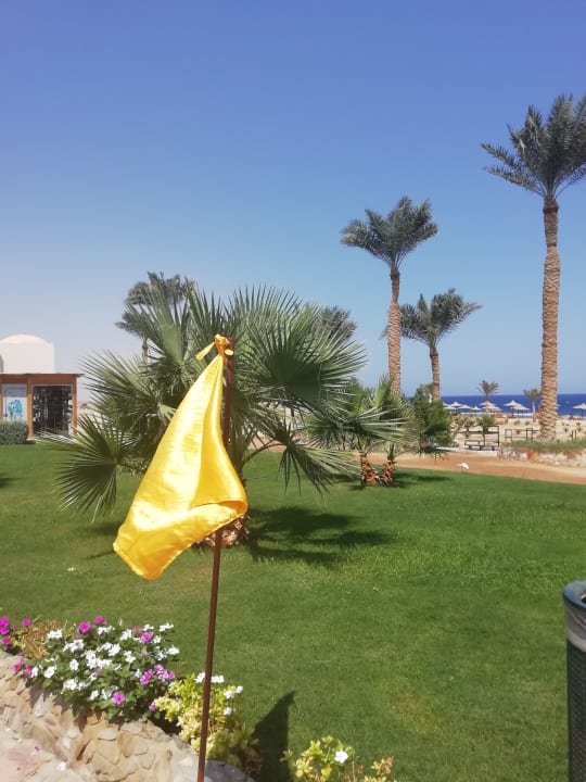 Ausblick Three Corners Sea Beach Resort