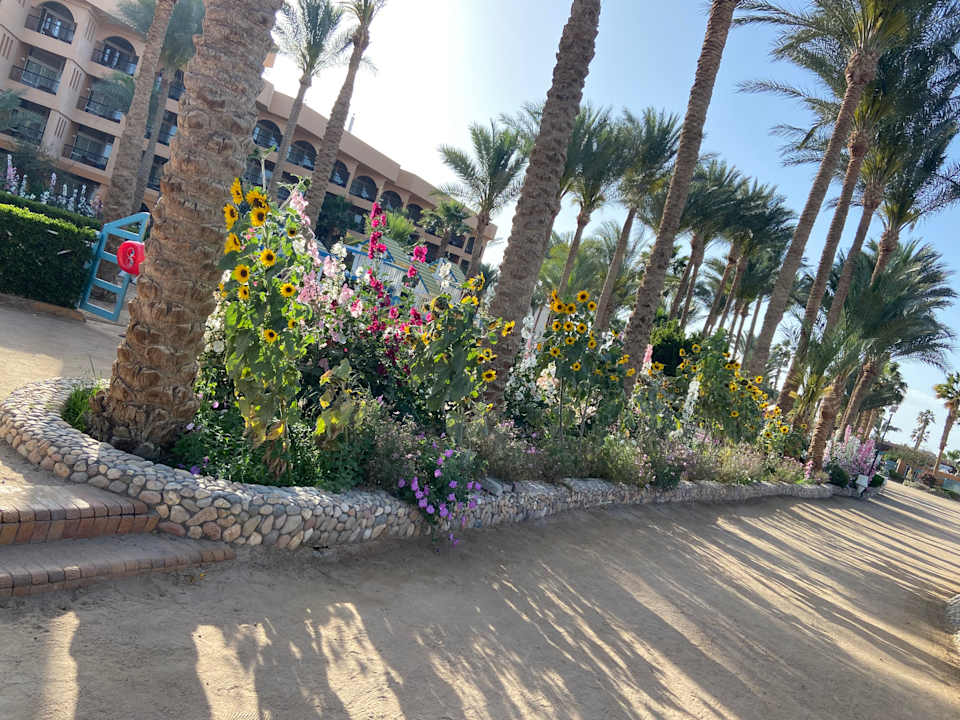 Gartenanlage Giftun Azur Resort