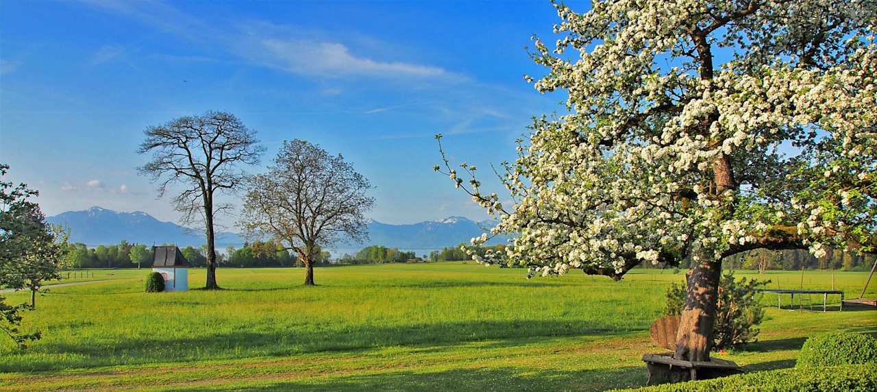 Ausblick Ferienwohnungen Moier-Hof