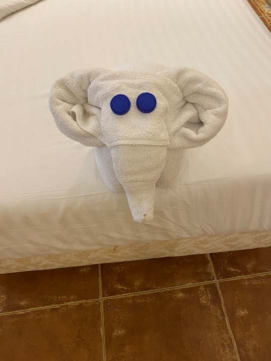 Zimmer Sentido Mamlouk Palace Resort