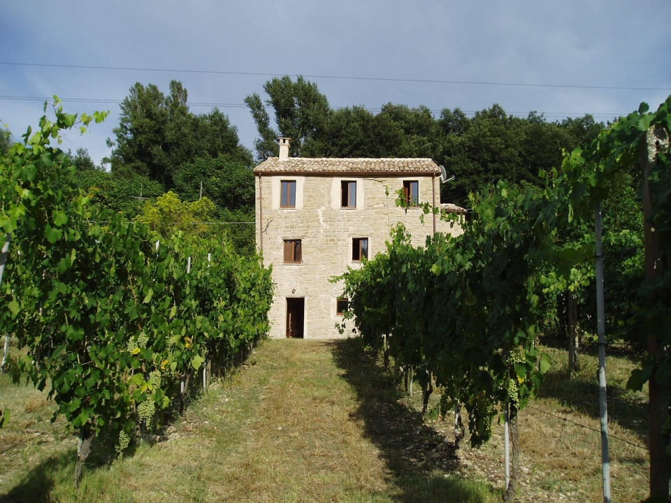 Vigneto B&B Mulino Barchio