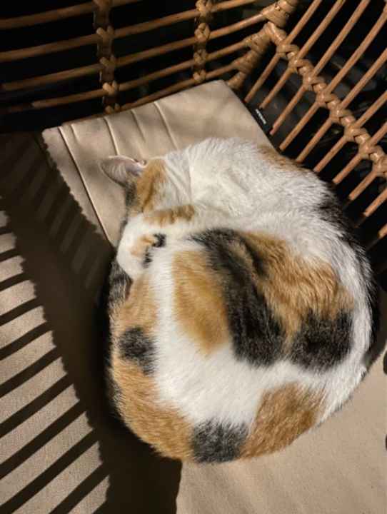 Sonstiges Hotel Samaina Inn