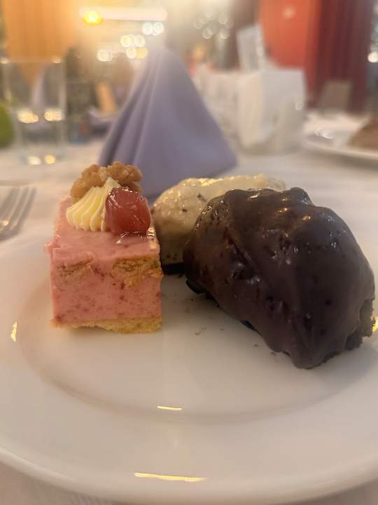 Gastro Seashell Vega