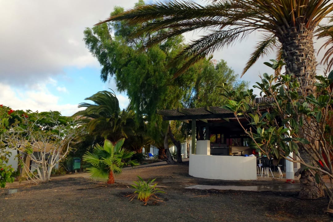 Garten, baden, spielen allsun App.-Hotel Esquinzo Beach