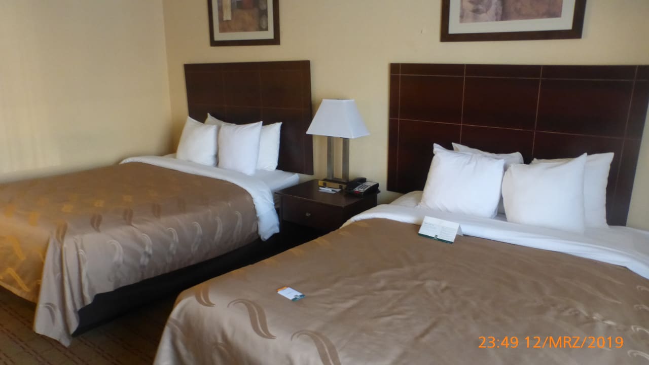 Zimmer Hotel Quality Inn Buffalo Airport