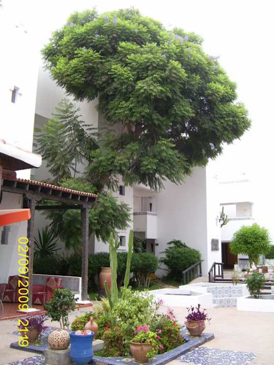 Agador Caribbean Village Agador  (Agador Tamlelt)