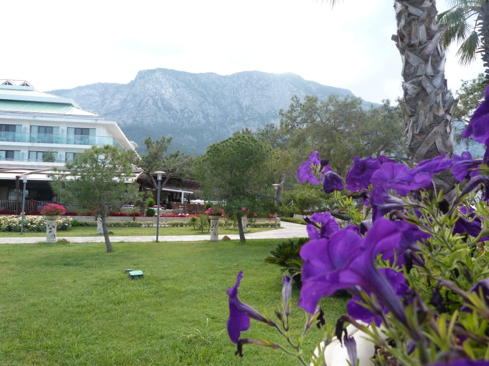 Urlaub 2015 Nirvana Mediterranean Excellence