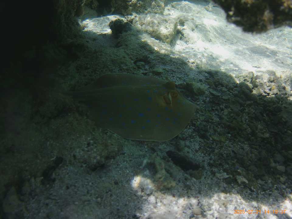 Strand Three Corners Sea Beach Resort