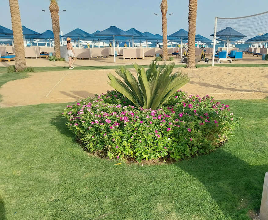 Strand Pickalbatros Blu Spa Resort