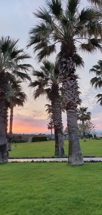 Gartenanlage Arcanus Hotels Sorgun