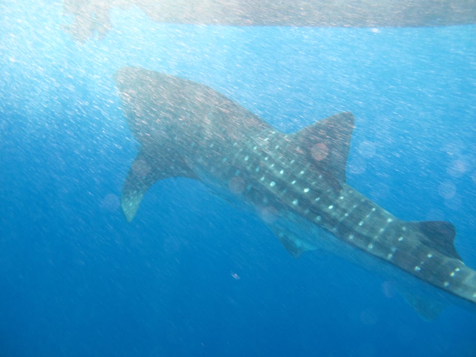 Sport & Freizeit Three Corners Equinox Beach Resort