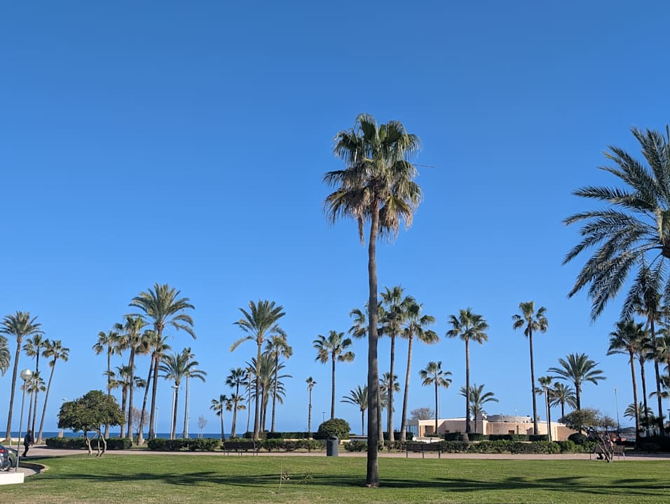 Sonstiges allsun Hotel Bahia del Este