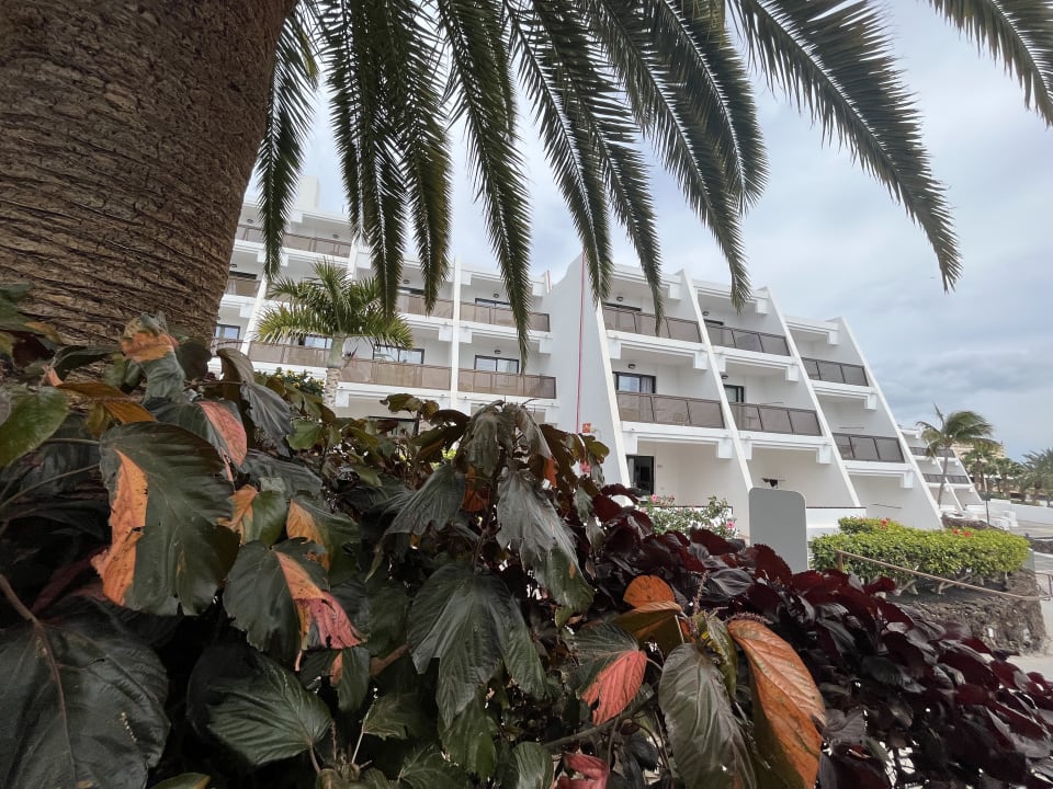 Außenansicht Sol Fuerteventura Jandia - All Suites