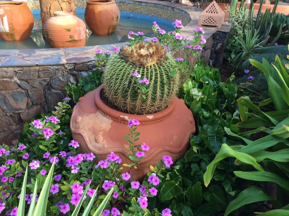 Gartenanlage Hotel Riu Touareg